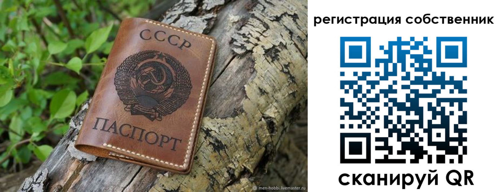 форма 3 в Миньяре